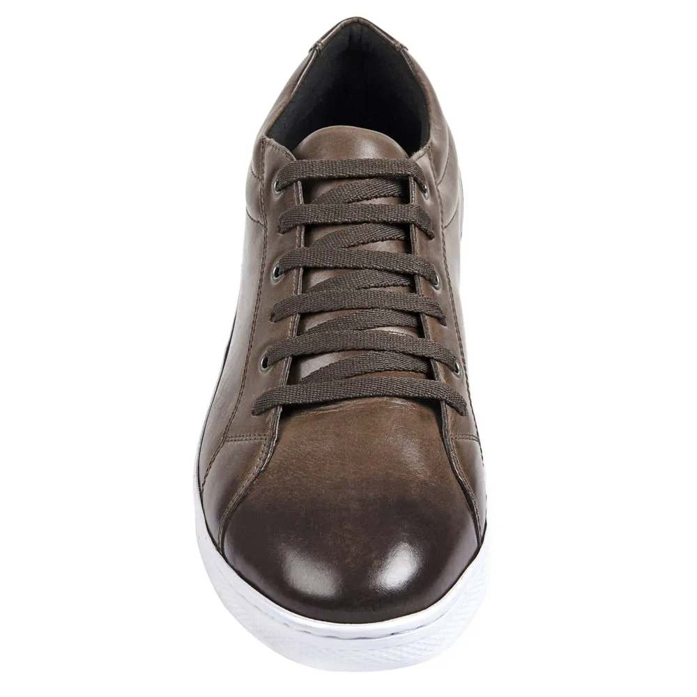 Sandro Moscoloni Bravo Brown Perfed toe six eyelet sneakers