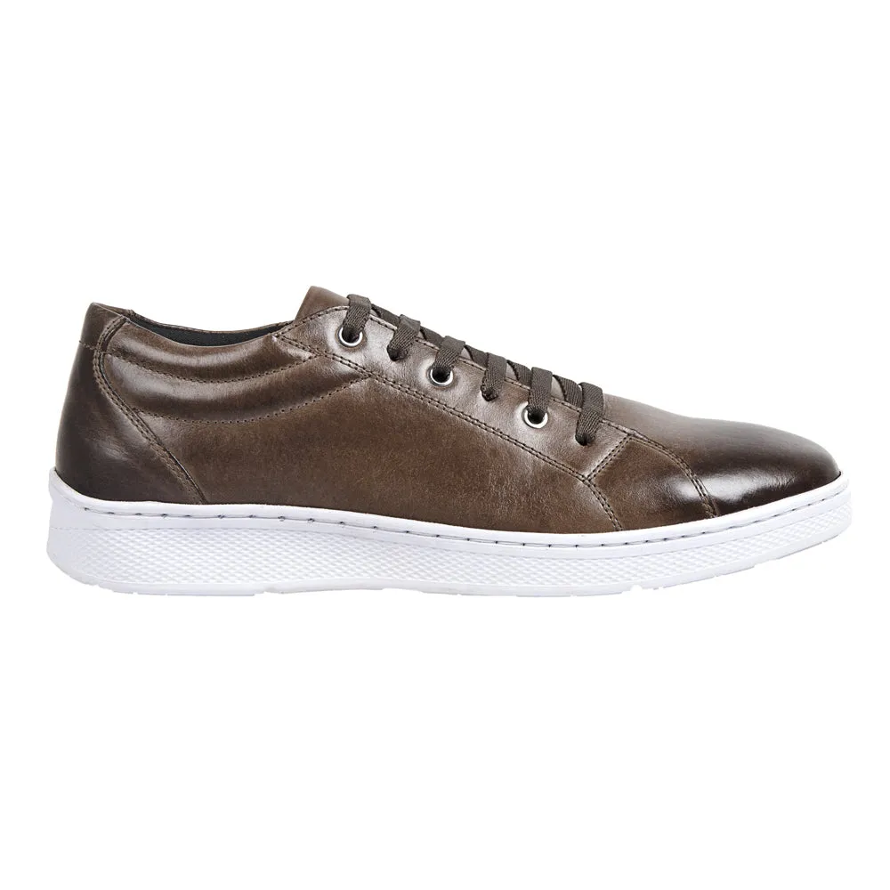 Sandro Moscoloni Bravo Brown Perfed toe six eyelet sneakers