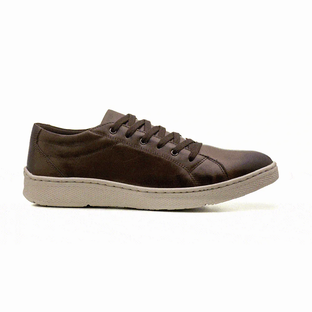 Sandro Moscoloni Bravo Brown Perfed toe six eyelet sneakers